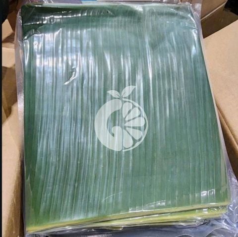 Frozen banana leaves