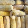 Frozen Yellow Corn