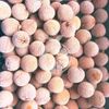 Frozen Lychee