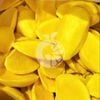 Frozen Kaew Mango