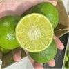 Chanh không hạt đông lạnh