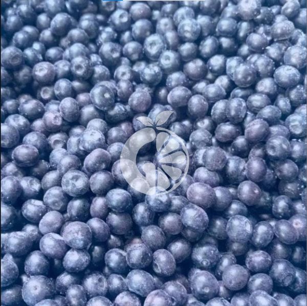 Frozen Blueberry