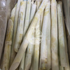 Frozen Sugarcane