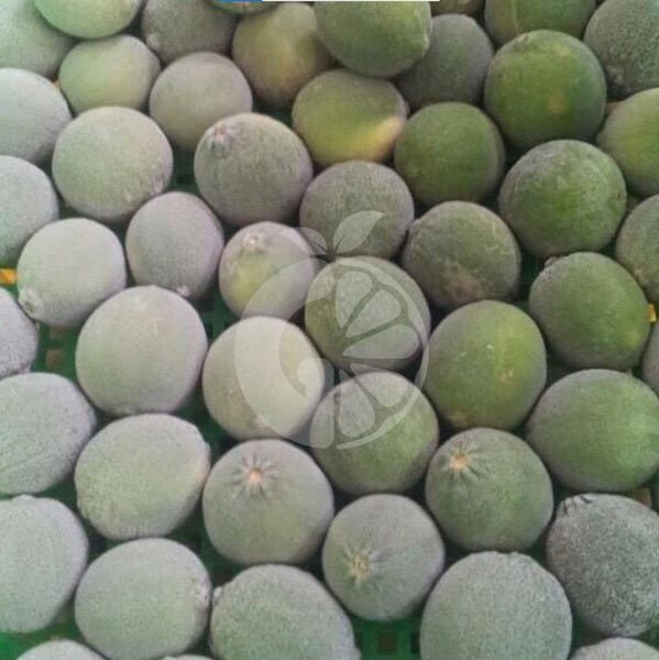 Frozen Seedless Lemon