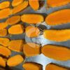 Frozen Turmeric