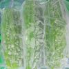 Frozen Bitter melon