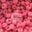 Frozen Raspberry