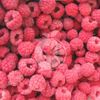 Frozen Raspberry