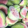 Frozen Pink Guava