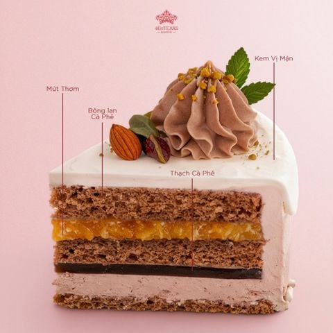 BÁNH KEM TƯƠI CÀ PHÊ MUỐI HIMALAYA 
