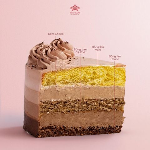  BÁNH KEM TƯƠI OMBRE CHOCO 
