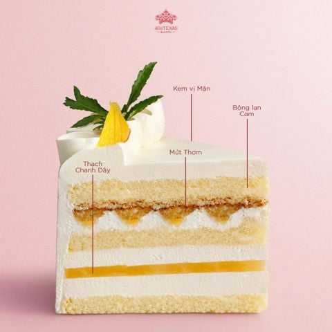  BÁNH KEM TƯƠI NHIỆT ĐỚI VỊ MẶN 