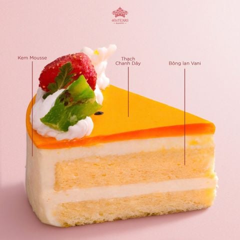  BÁNH KEM DUAL DELIGHT 
