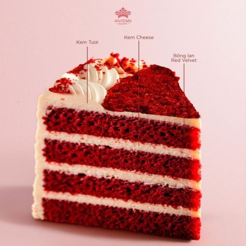  BÁNH KEM TƯƠI RED VELVET 