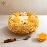  BÔNG LAN TRỨNG MUỐI HOÀNG KIM 