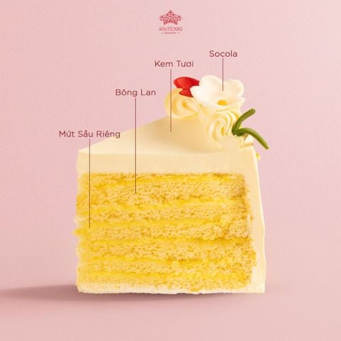  BÁNH KEM SẦU RIÊNG 