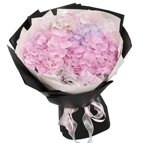  BÓ HOA - MÂY HỒNG DỊU NGỌT 