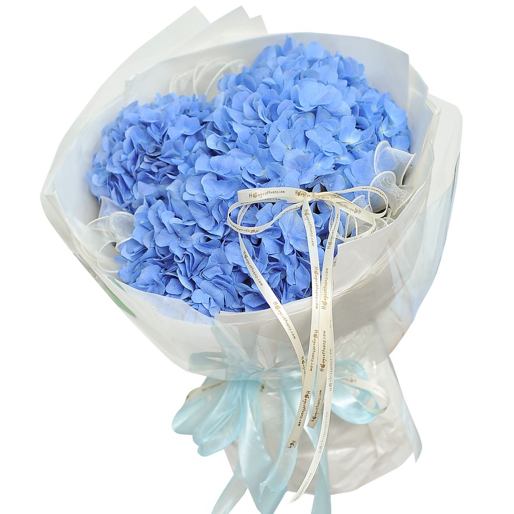  BÓ HOA - MÂY XANH HY VỌNG 