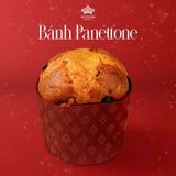  Bánh Giáng Sinh Panettone 