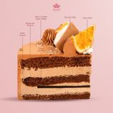 BÁNH KEM DUAL OMBRE & CACAO HẠNH NHÂN 