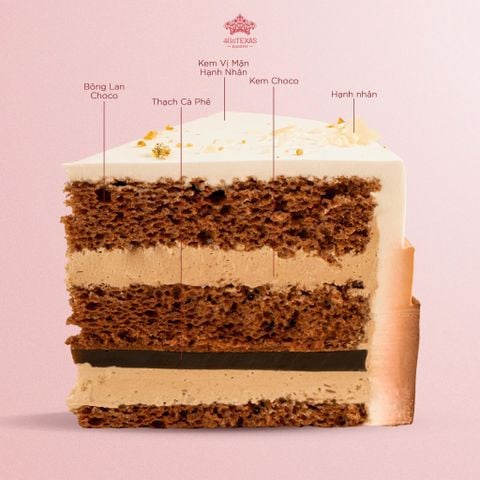  BÁNH KEM DUAL OMBRE & CACAO HẠNH NHÂN 