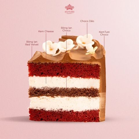  BÁNH KEM DUAL RED VELVET & CACAO HẠNH NHÂN 