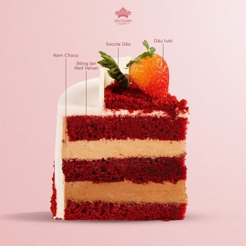  BÁNH KEM DUAL OMBRE & RED VELVET 