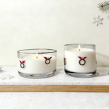 Scented Candle In Basic Jar With Mistletoe