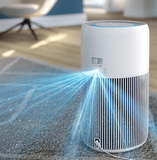 Máy Lọc Không Khí PHILIPS AC2220/10 (28W - 45dB)