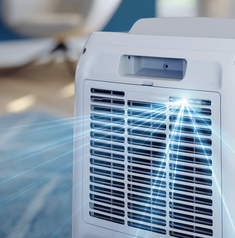 Máy Hút Ẩm Không Khí Philips DE3306/11
