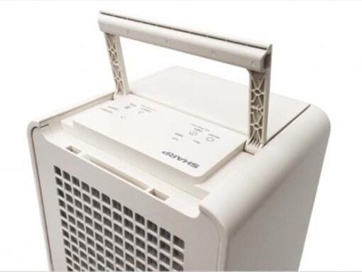 Máy hút ẩm và tạo ion Sharp DW-P12HV-W (28m2)