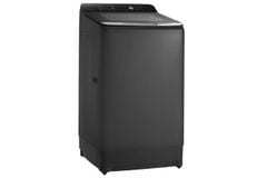 Máy giặt Hitachi Inverter 12 kg LTL 12MVJWT GG