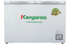 Tủ đông kháng khuẩn Kangaroo 286 lít KGFZ399NC1