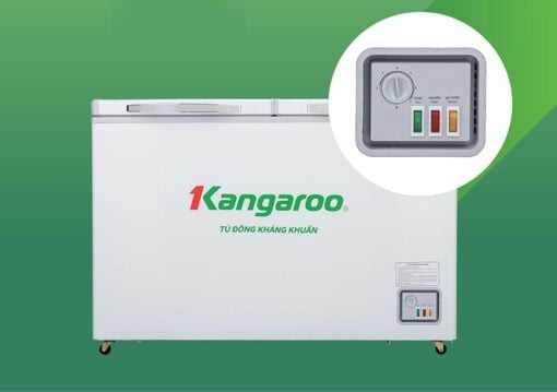 Tủ đông kháng khuẩn Kangaroo 286 lít KGFZ399NC1