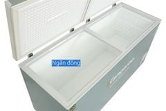 Tủ đông Kangaroo 500 lít KGFZ560NG1