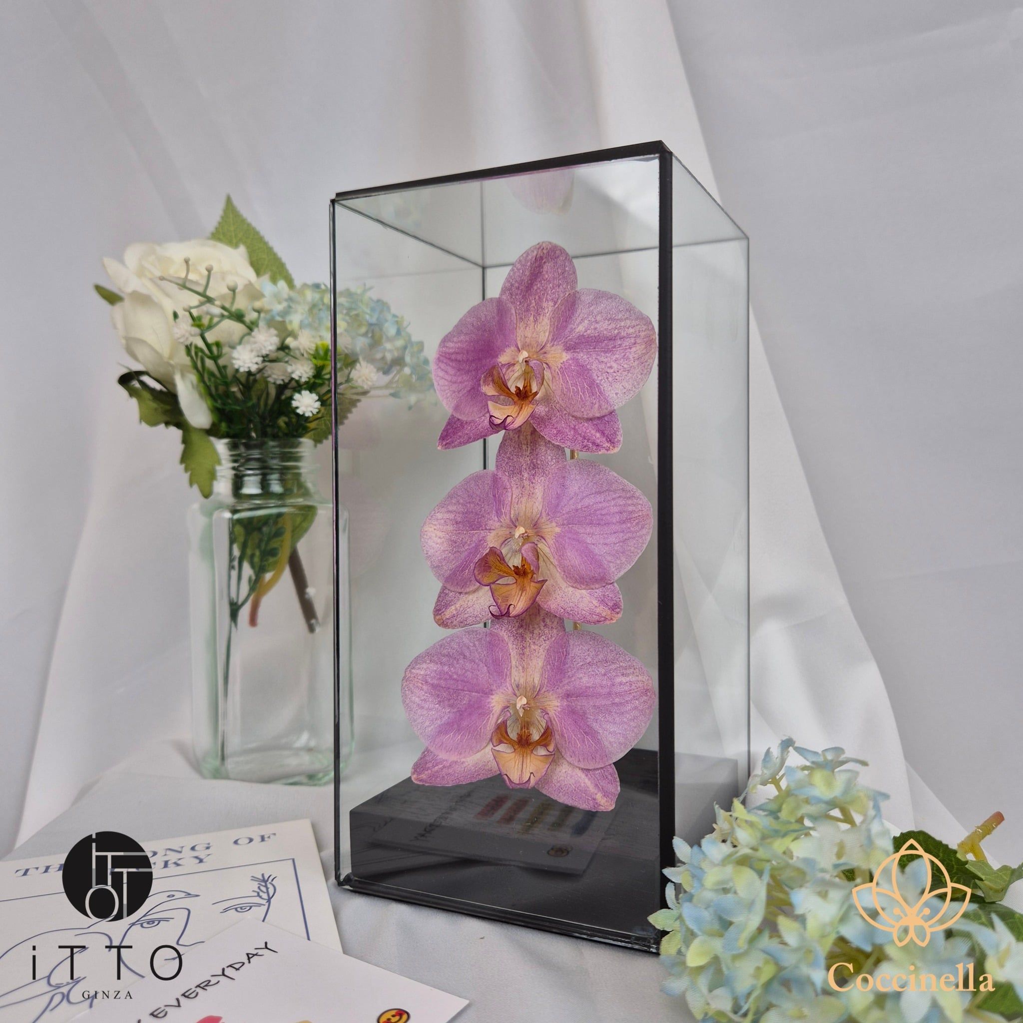  The iTTO II - S 