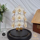  The iTTO LED - 3 Nhành 