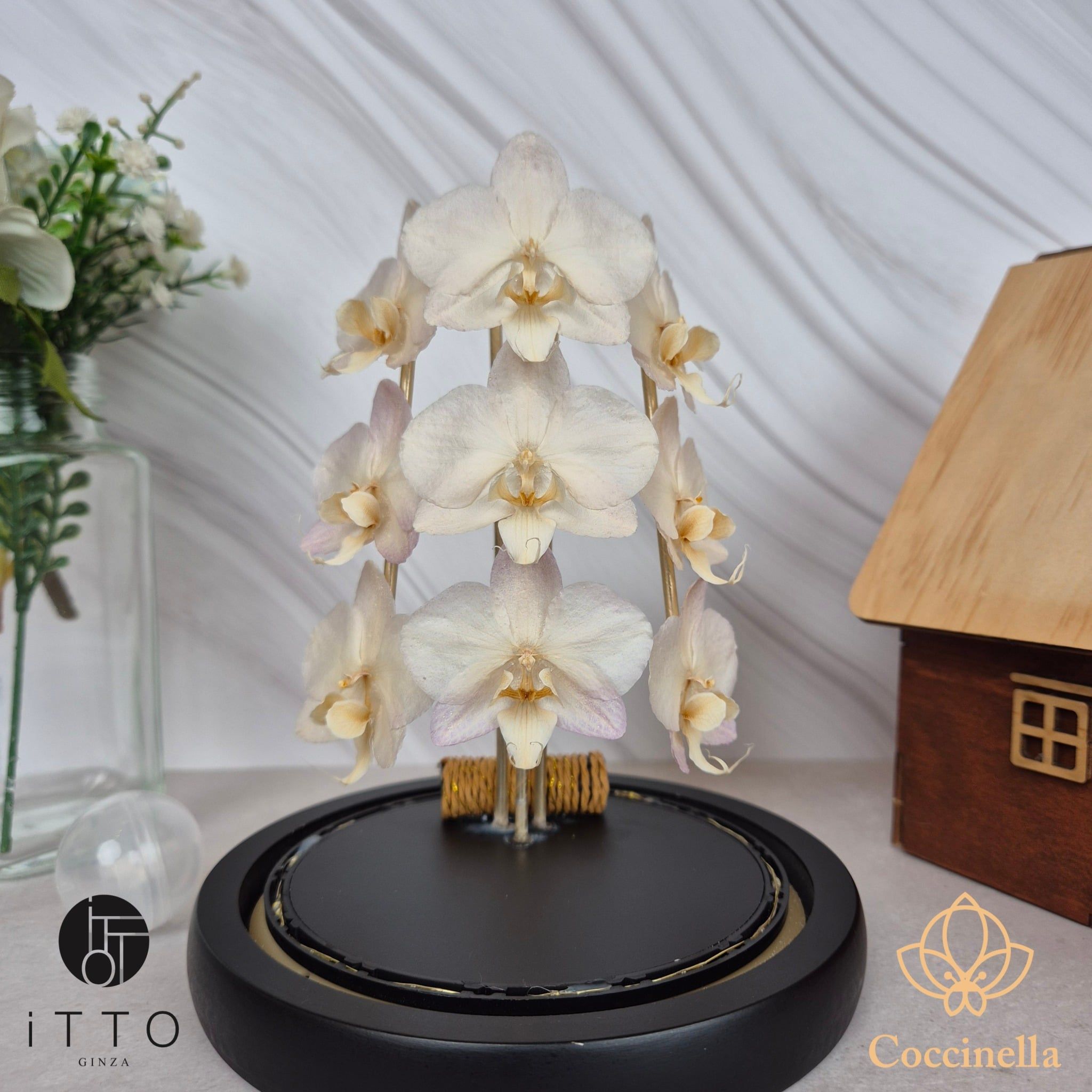  The iTTO LED - 3 Nhành 