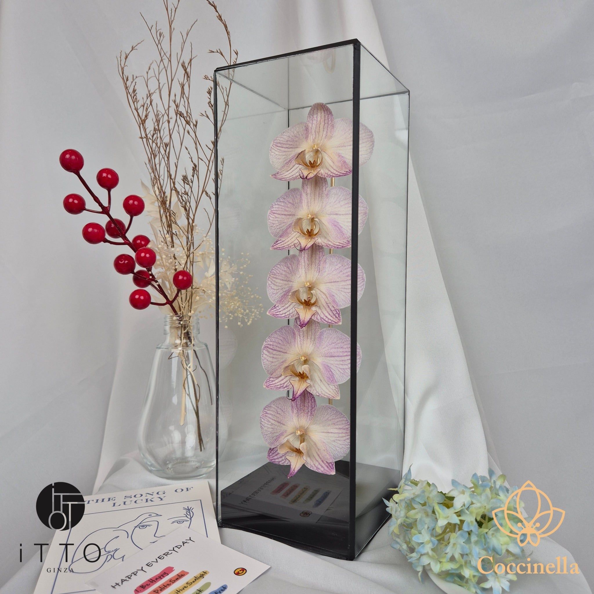  The iTTO II - M 
