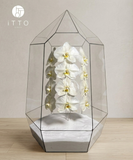  The iTTO LUNA - XL 70cm 