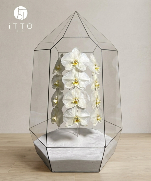  The iTTO LUNA - XL 70cm 