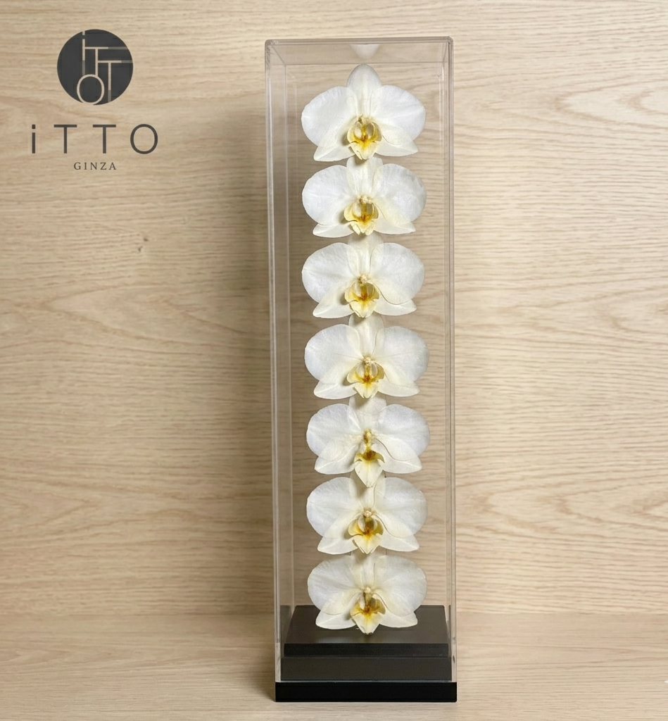  The iTTO II - L 