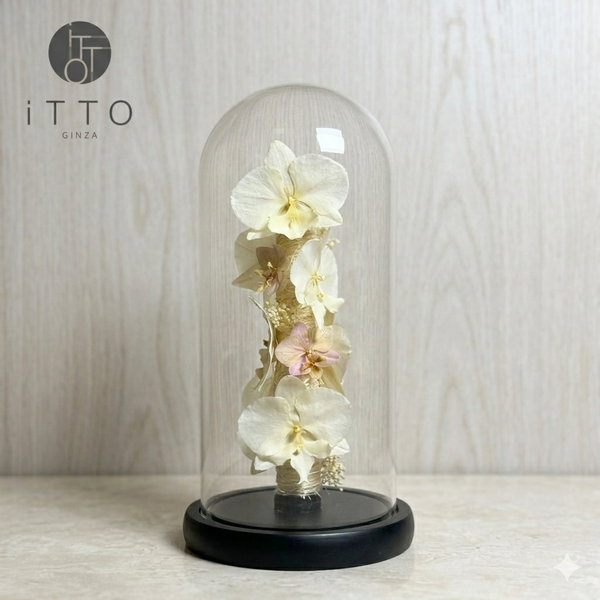  The iTTO-LED - M 