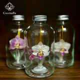  Chai lọ hoa khô - BOT01 