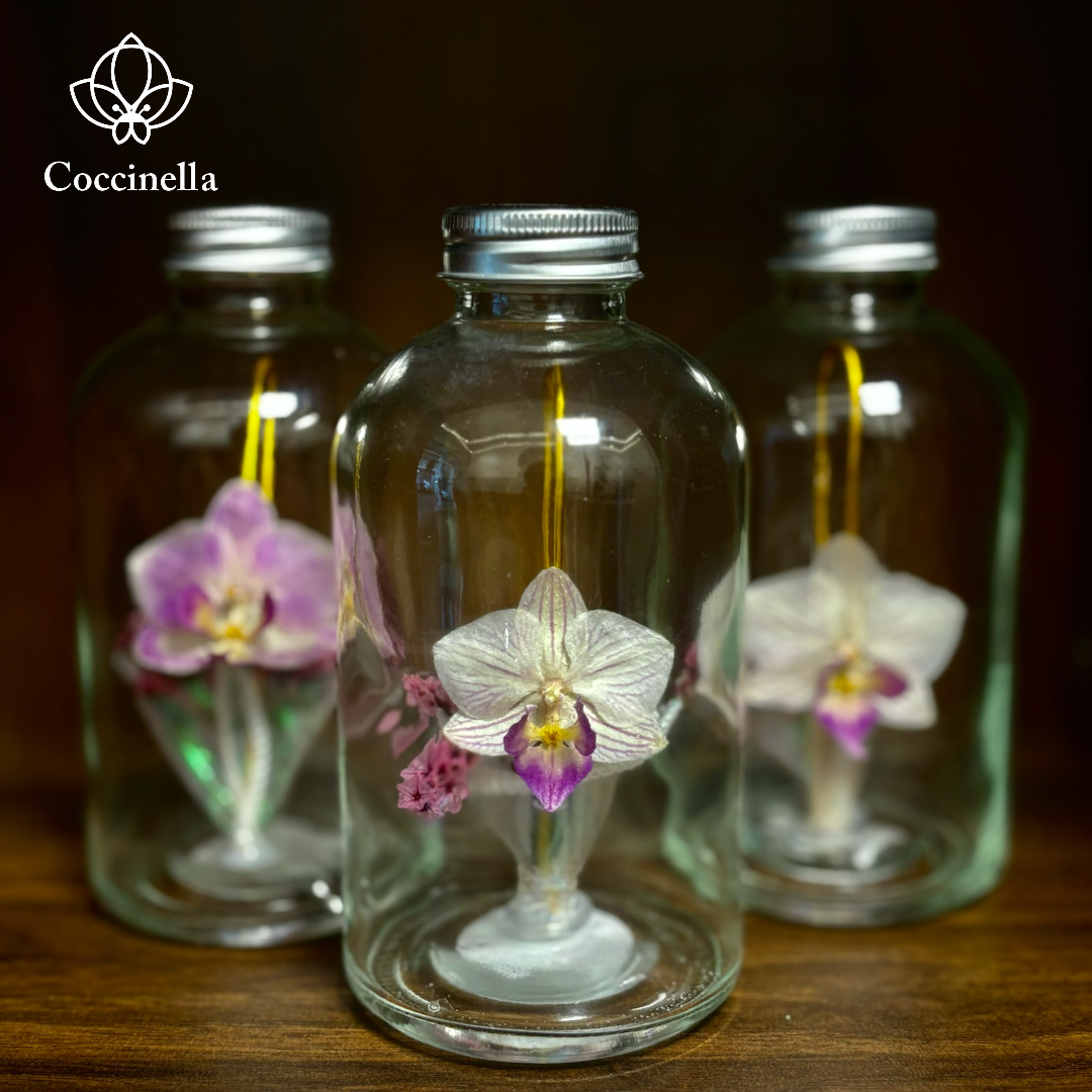  Chai lọ hoa khô - BOT01 