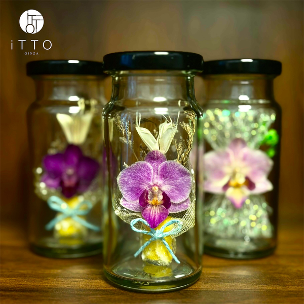  Chai lọ hoa khô - BOT06 