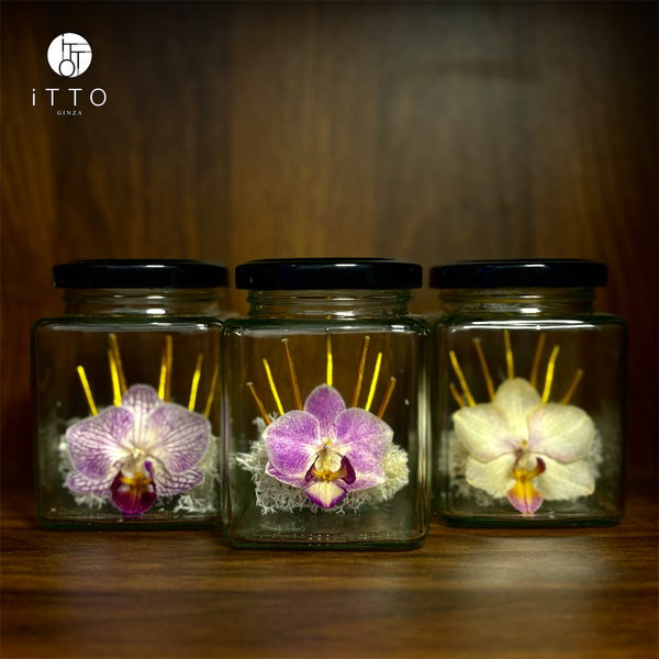  Chai lọ hoa khô - BOT07 