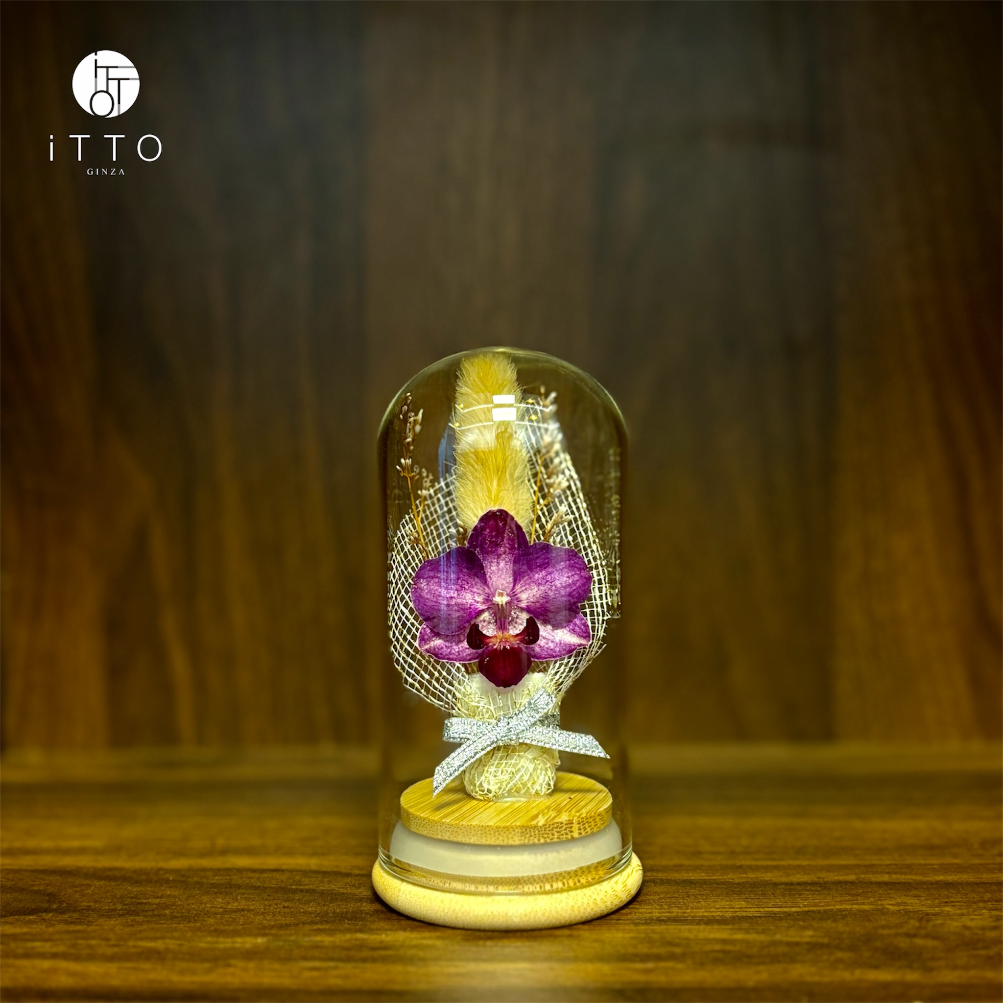  Chụp tre cao su - BOT09 