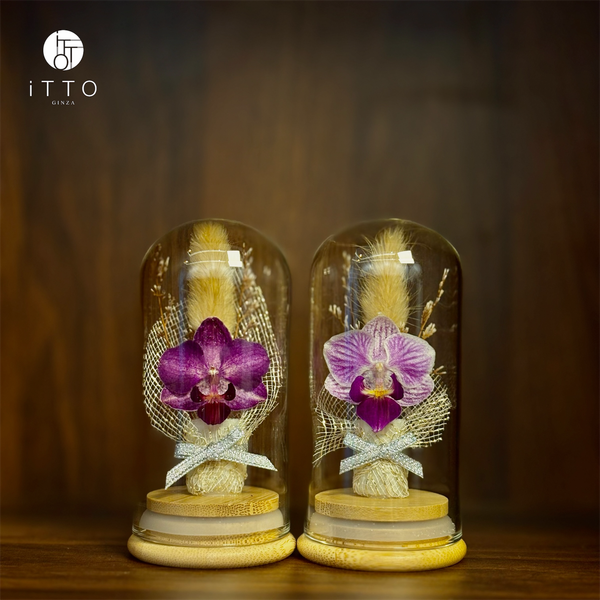  Chụp tre cao su - BOT09 