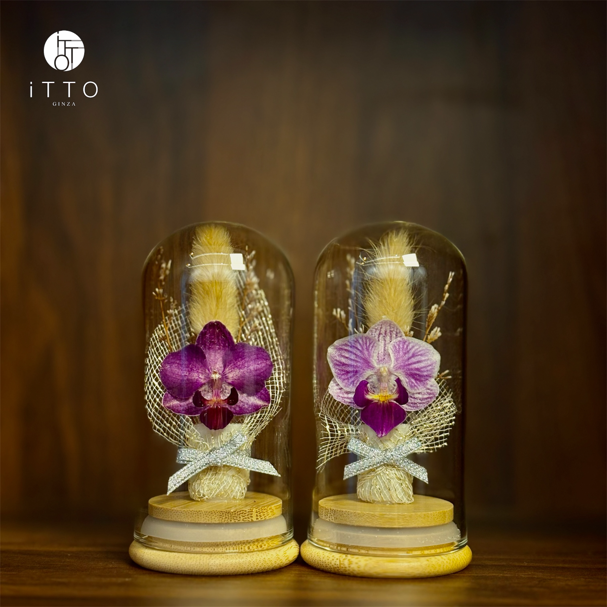  Chụp tre cao su - BOT09 